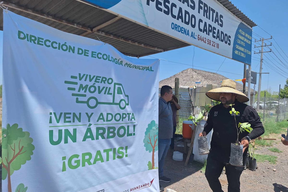 Regalan 200 árboles por día con vivero movil en Cajeme