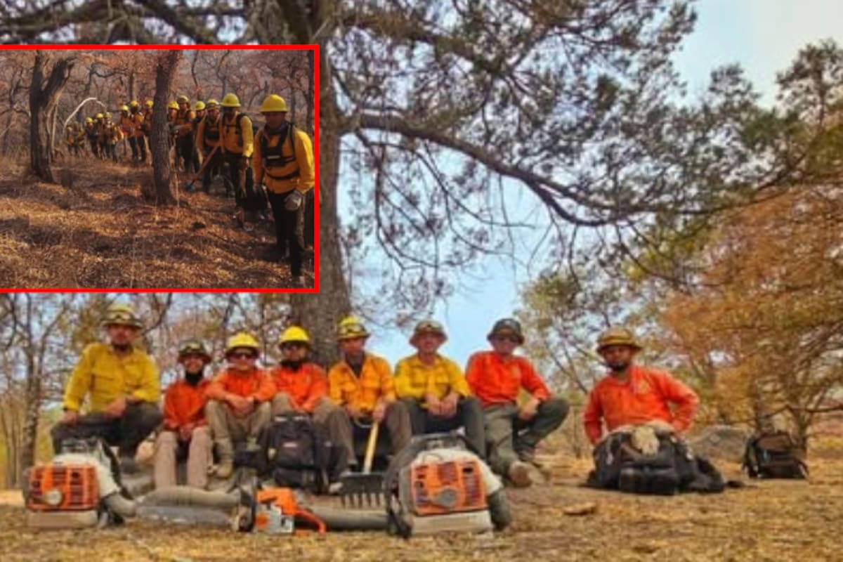 Incendio forestal en Yécora alcanza 50% de control gracias a esfuerzos coordinados