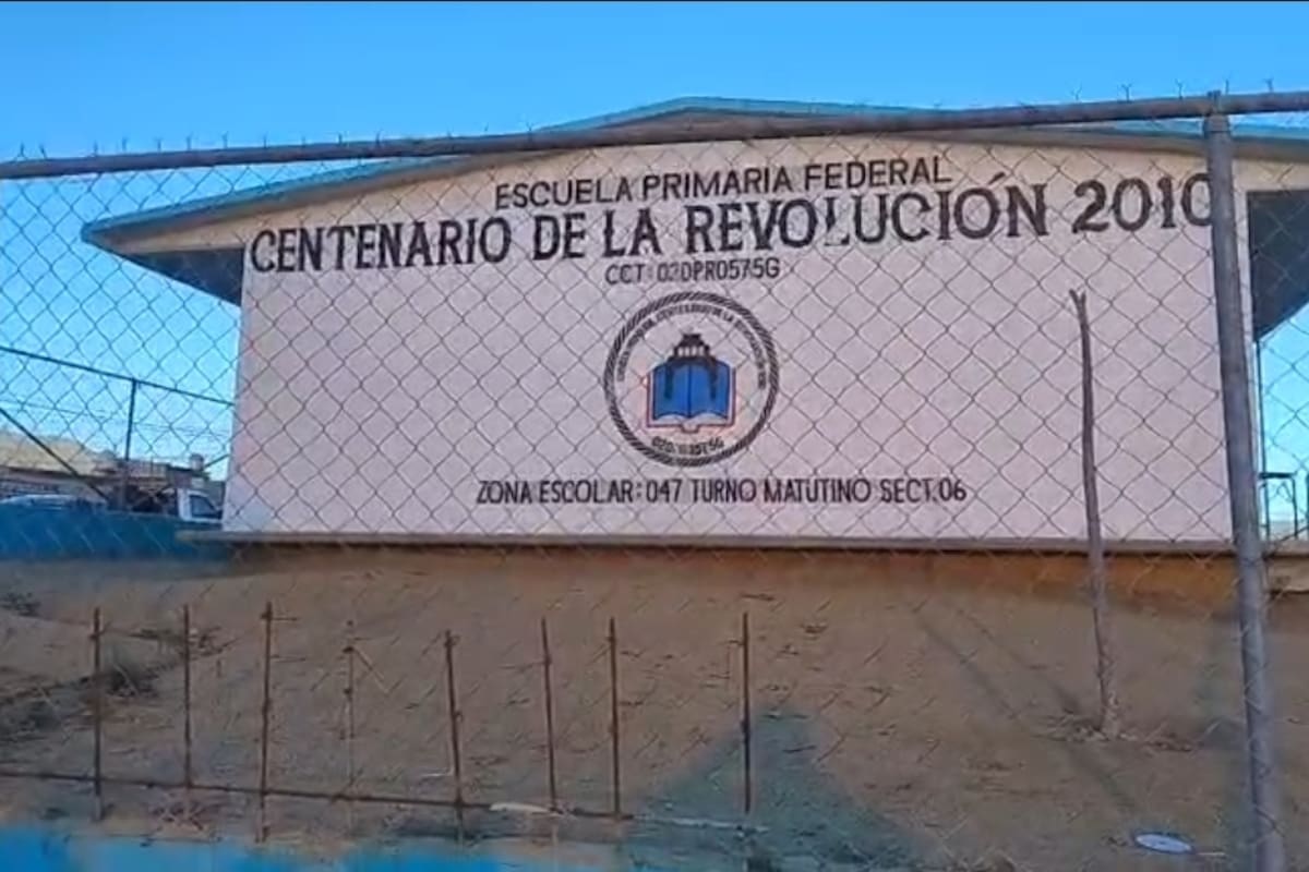 Piden fumigar escuela primaria infestada de pulgas y garrapatas