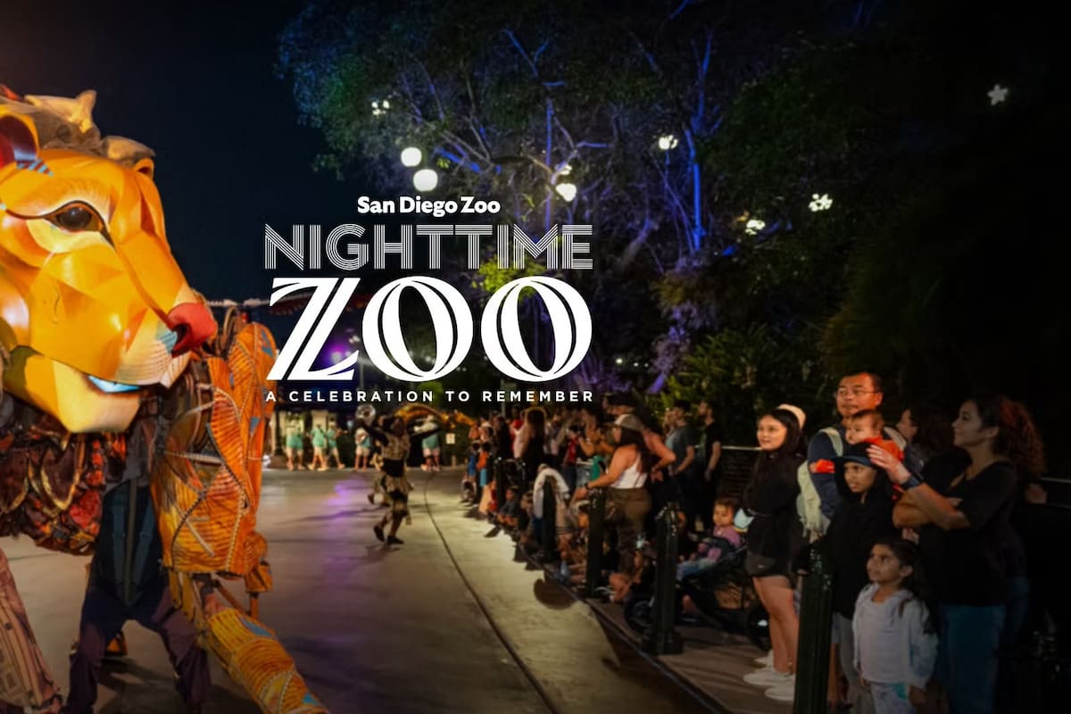 Tendrá Nighttime Zoo 2026 fechas para todo julio en el Zoológico de San Diego