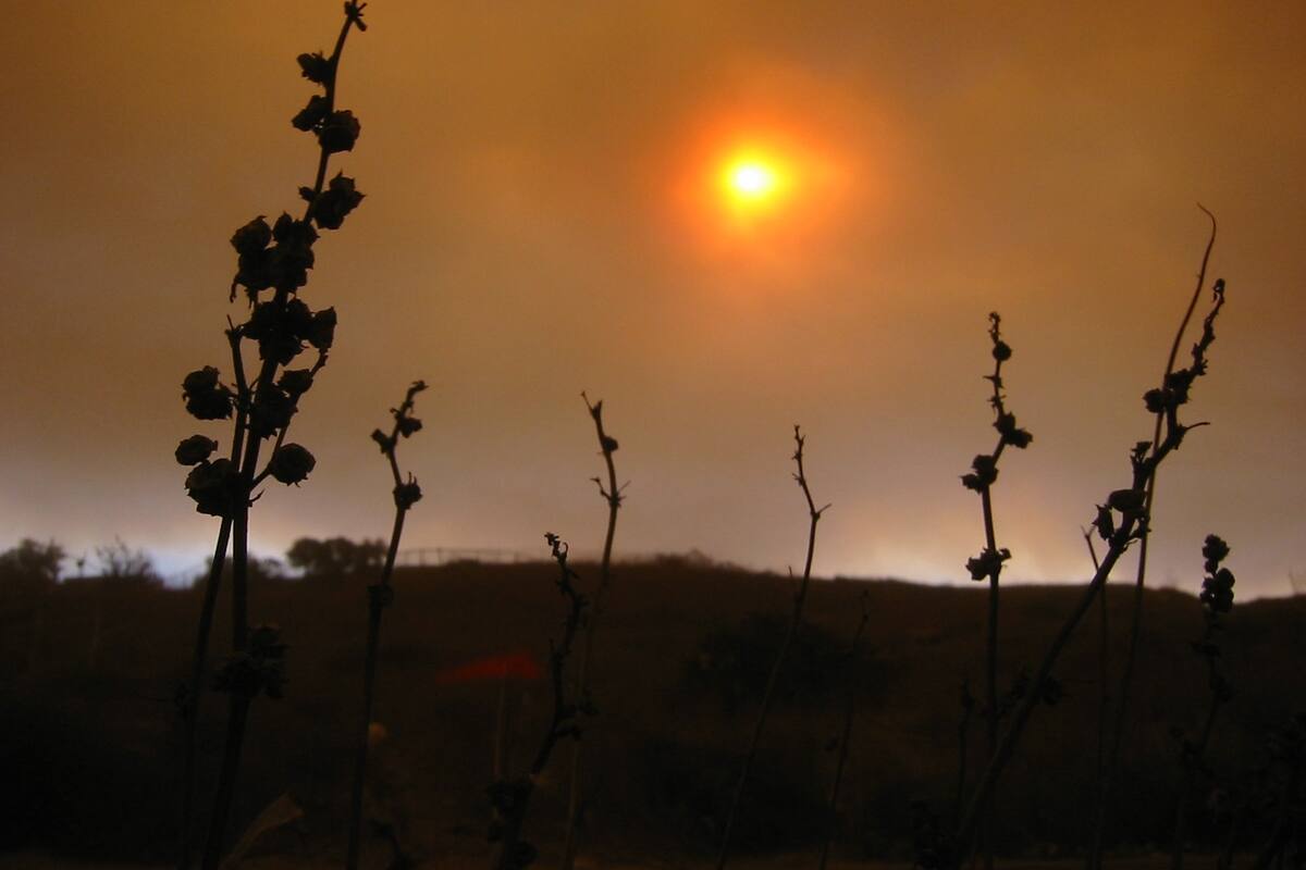 5 cosas que debes saber sobre los vientos de Santa Ana