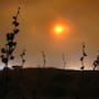 Vientos de Santa Ana de hasta 70 km/h y calor de 41°C en Baja California