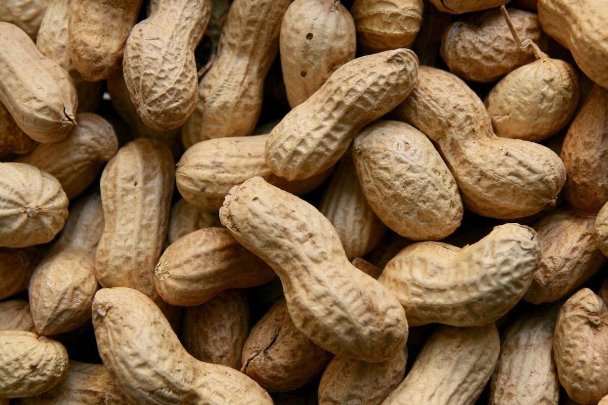 ¿Quiénes no pueden comer cacahuates?