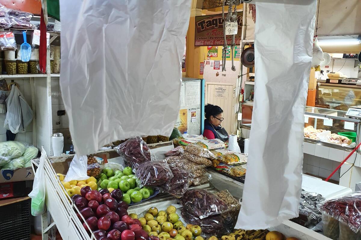 Hace propuesta para regular bolsas de plástico