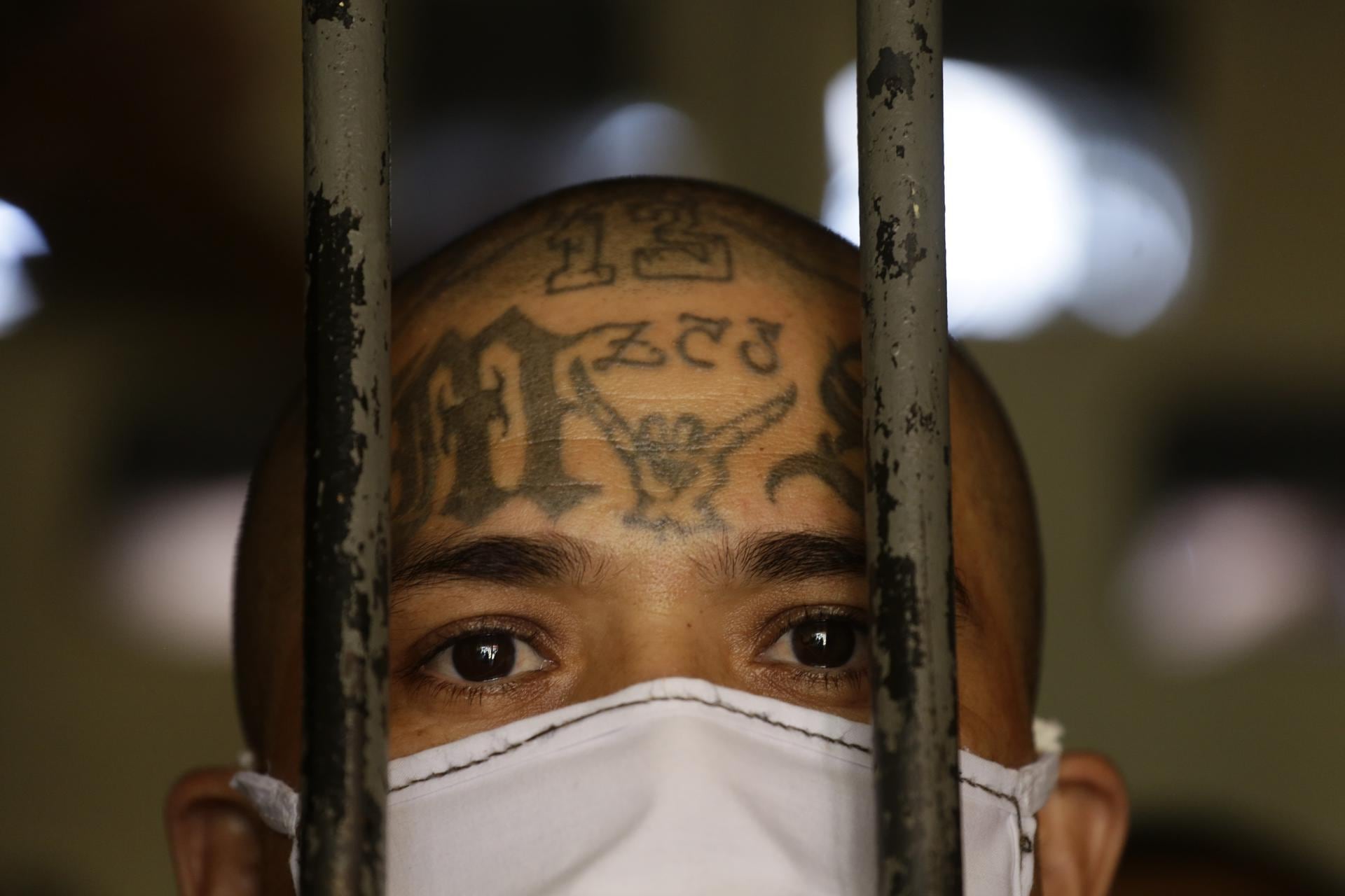 Miembro de la Mara Salvatrucha (MS-13) detenido en Los Ángeles por acusaciones de tráfico de drogas. Fotografía de archivo. EFE/ Rodrigo Sura