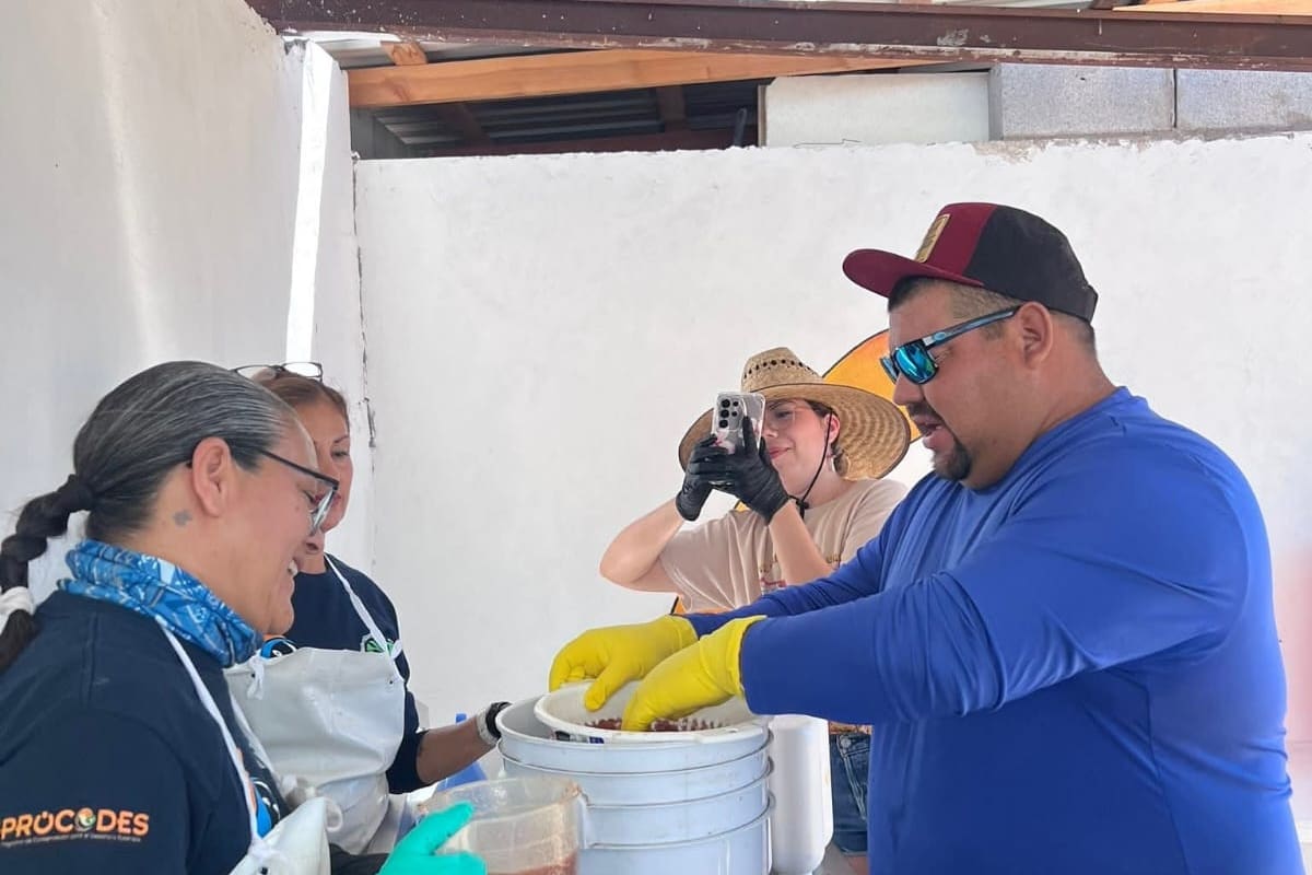 Pescadora enseña a convertir residuos de pescado en fertilizante para reducir la contaminación