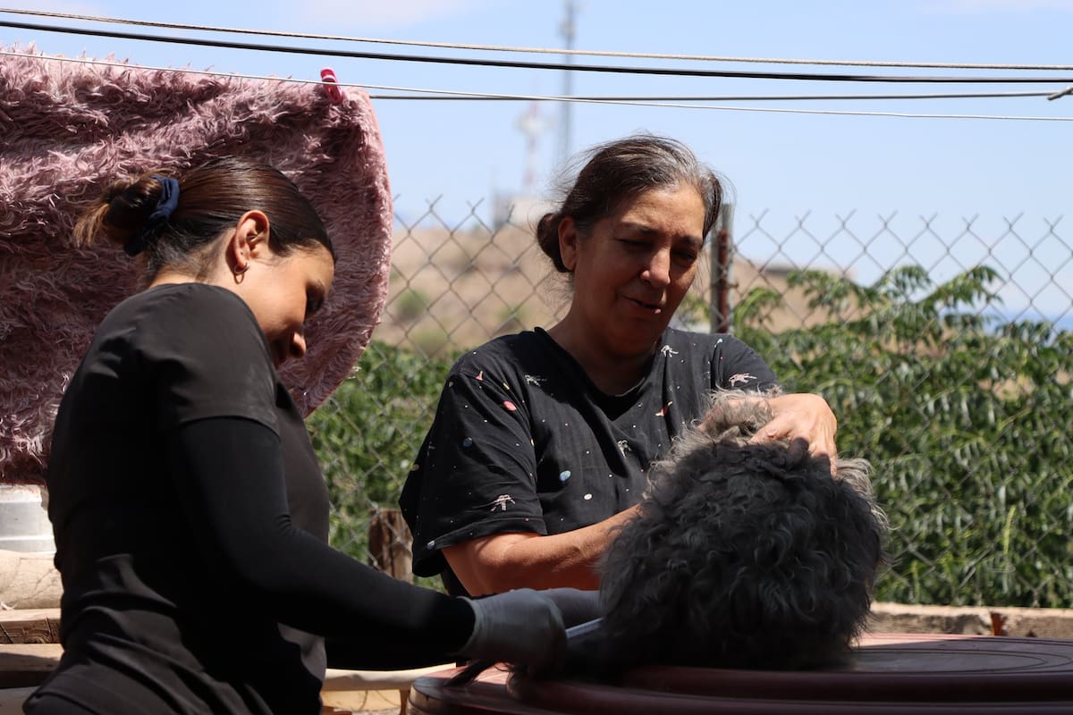 Autoridades de Nogales buscan prevenir enfermedades como la rickettsia mediante campañas de atención y cuidado animal en colonias de la ciudad. FOTO: ESPECIAL