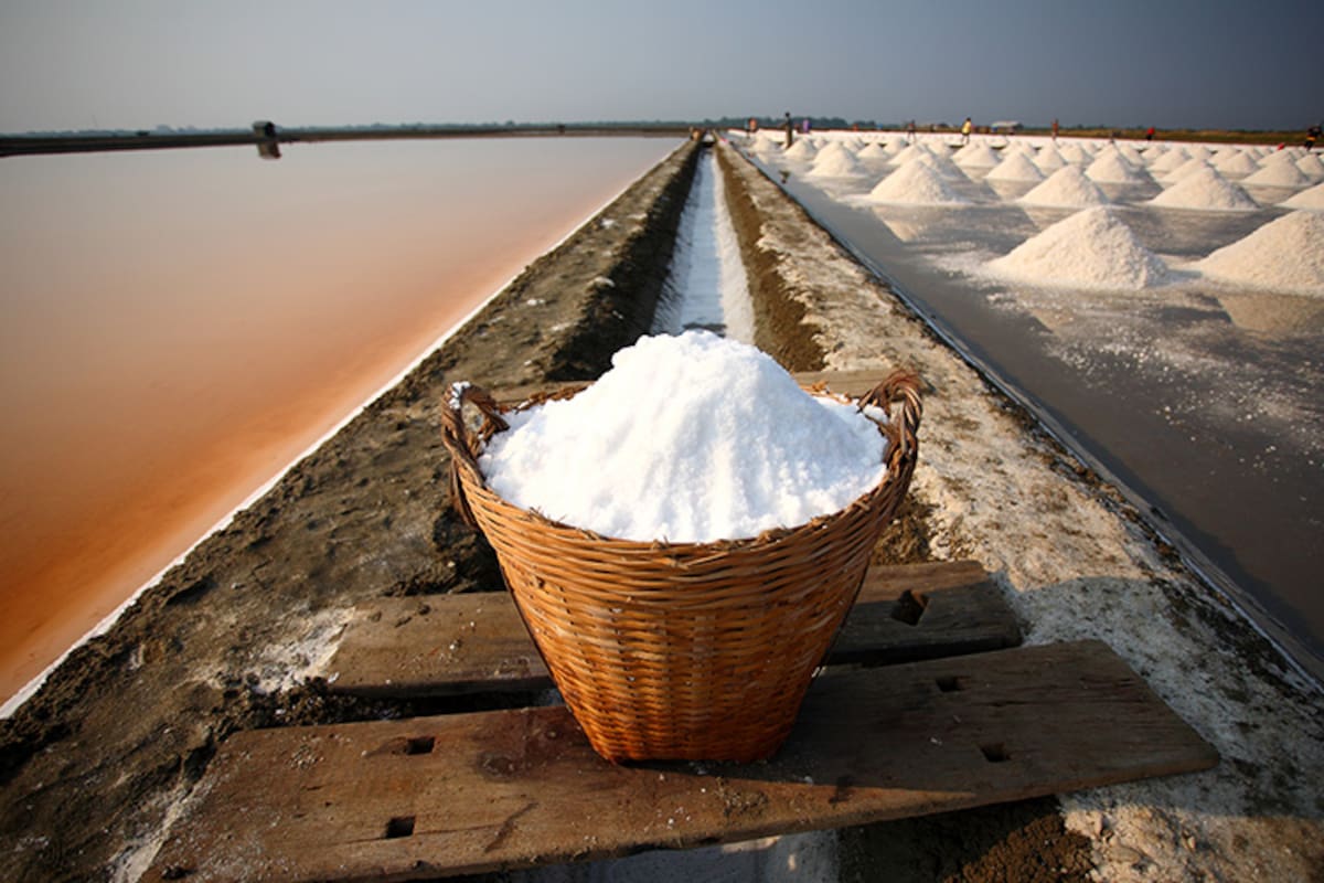 ¿Sabías que la sal fue tan valiosa como el oro en la antigua Roma?