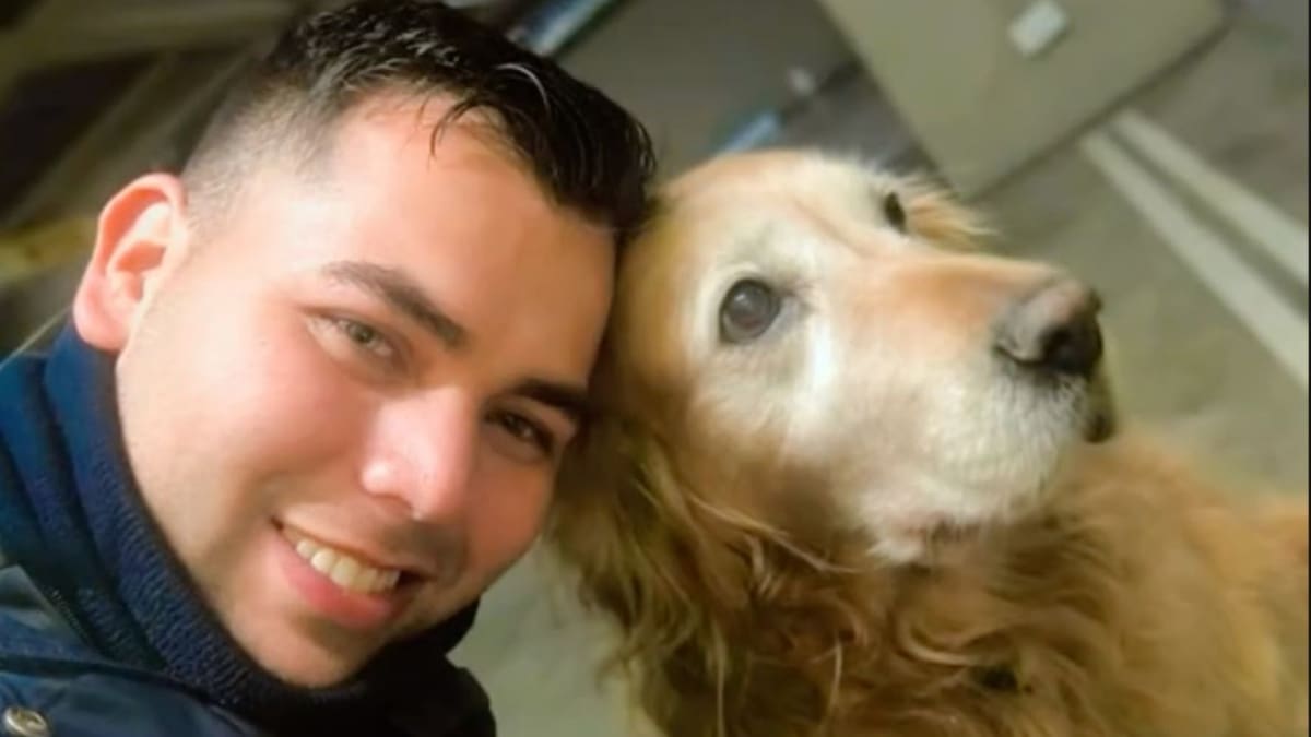 El último patrullaje de Peki: así fue el retiro de una perrita guardia tras una década de servicio. Foto: TikTok/@eeddiinnssoonn