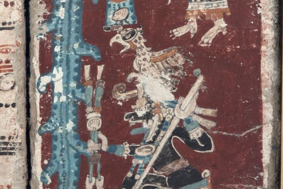 Pide AMLO prestado Códice Maya a presidente de Alemania, Frank-Walter Steinmeier