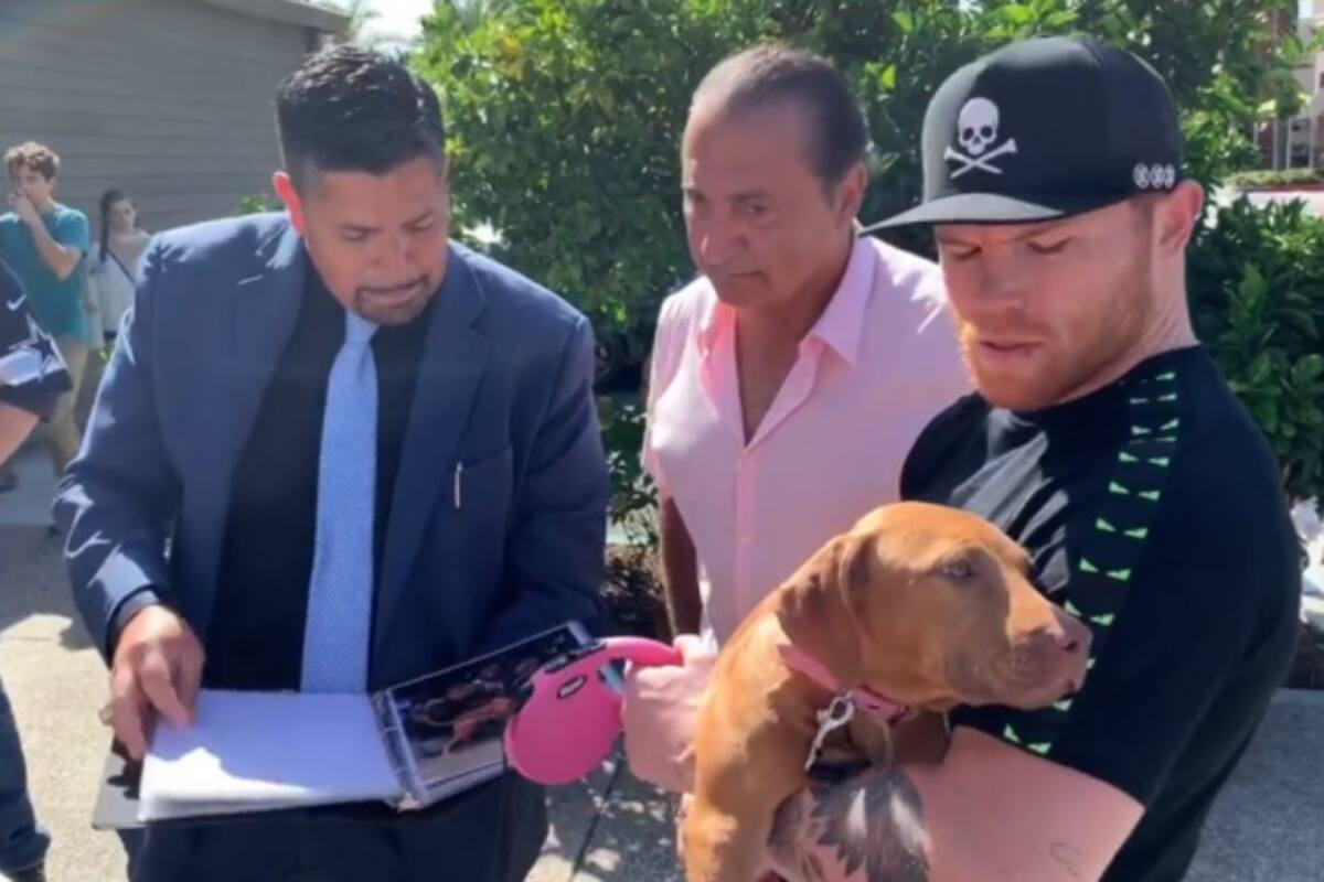 "Canelo" recibe perro de miles de dólares
