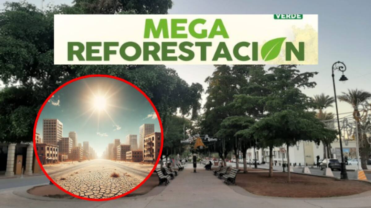 Gobierno de Hermosillo invita la Mega Reforestación ¿Cuál es la importancia de los árboles para los seres vivos en un ambiente tan caluroso?
