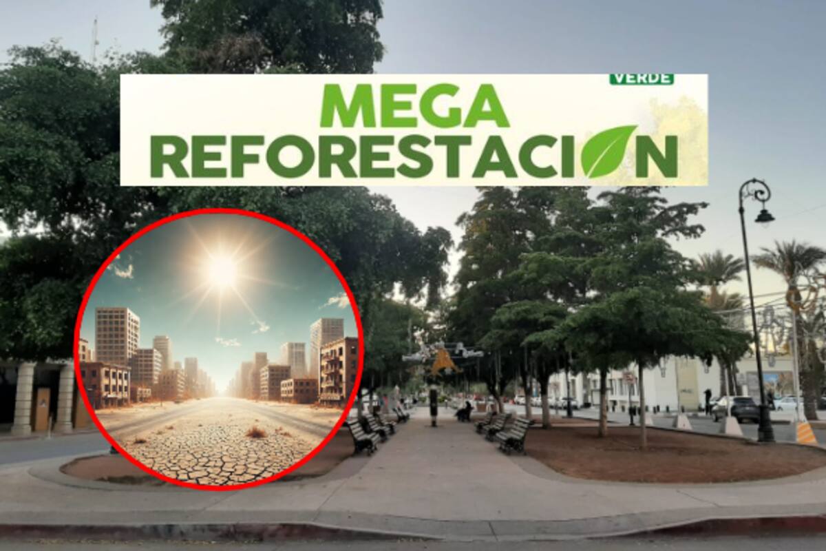 Gobierno de Hermosillo invita la Mega Reforestación ¿Cuál es la importancia de los árboles para los seres vivos en un ambiente tan caluroso?