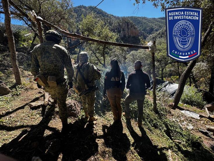 Destruyen 10 plantíos de mariguana en operativos simultáneos en Chihuahua