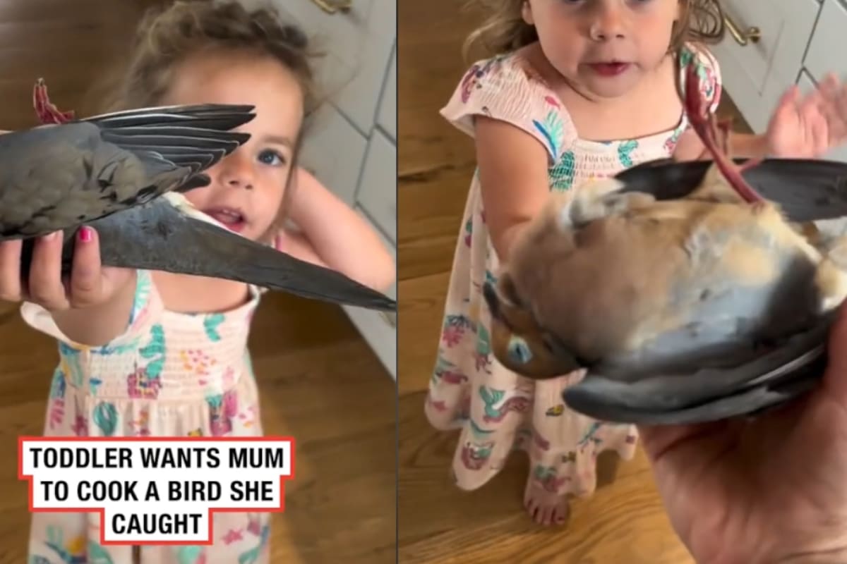 Madre capta cómo su hija pequeña le entrega un pájaro muerto para que lo cocine
