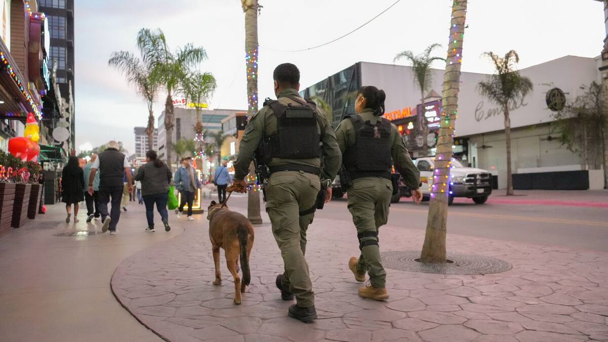 La presencia de vigilancia y personal de seguridad en cajeros y establecimientos ayuda a disminuir situaciones de vulnerabilidad. Foto: Cortesía