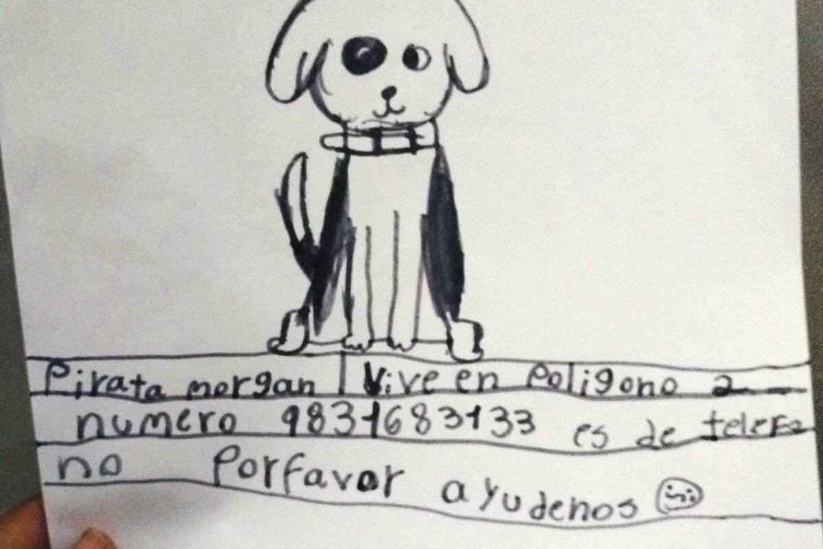 Abuelita recupera a su perrito perdido gracias a un dibujo hecho por su nieta