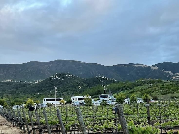 Van por el turismo del Valle de Guadalupe