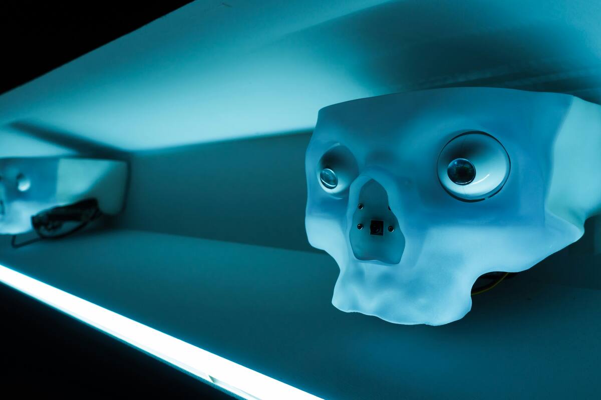 ¿Por qué los bots no pueden marcar la casilla “No soy un robot”?