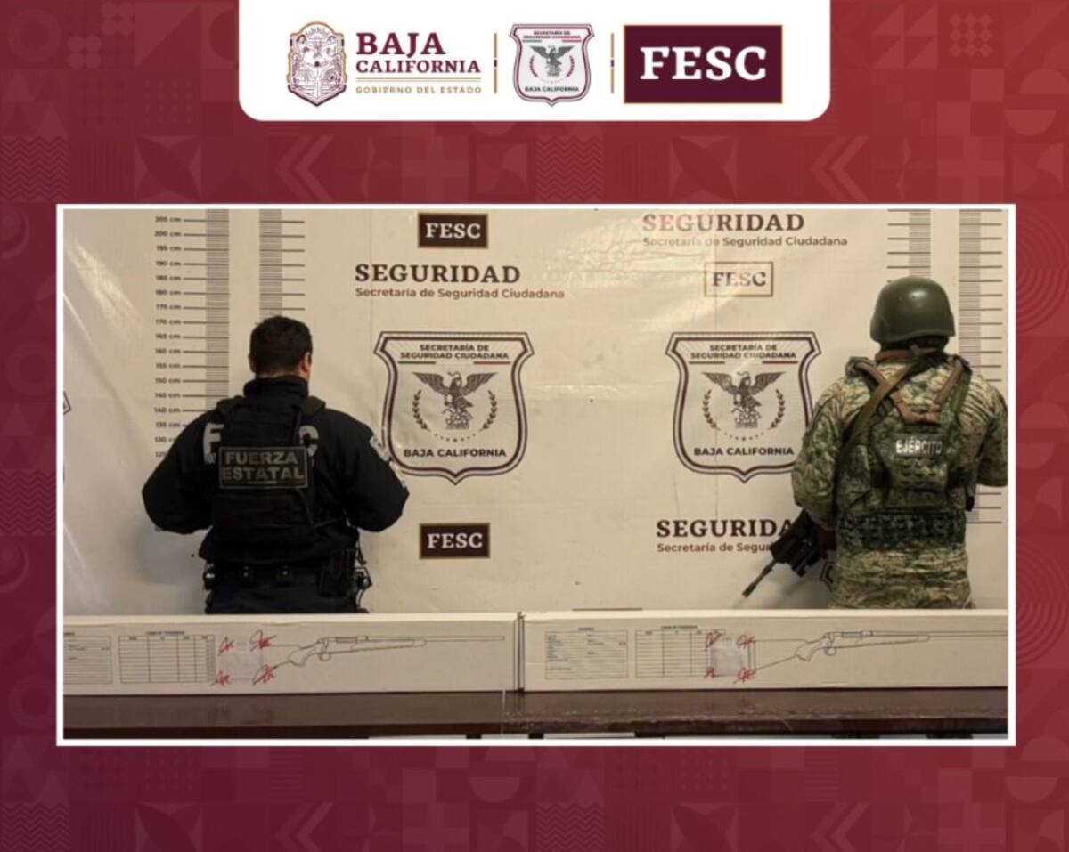 FESC y DEFENSA  lograron el decomiso de armas de fuego de alto poder y una cantidad significativa de cartuchos útiles l Foto: Cortesía