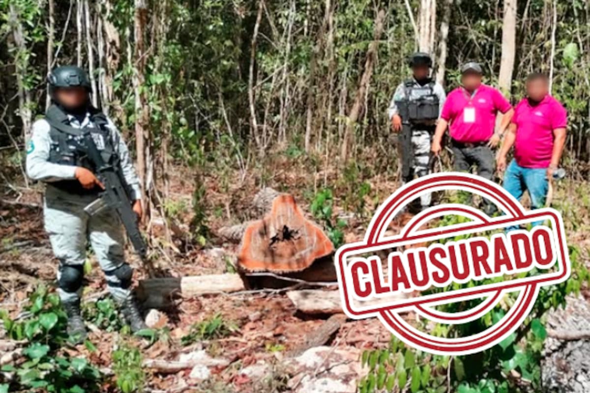 Clausuran predio en Tekax, Yucatán, por cambio de uso de suelo sin autorización en área natural protegida