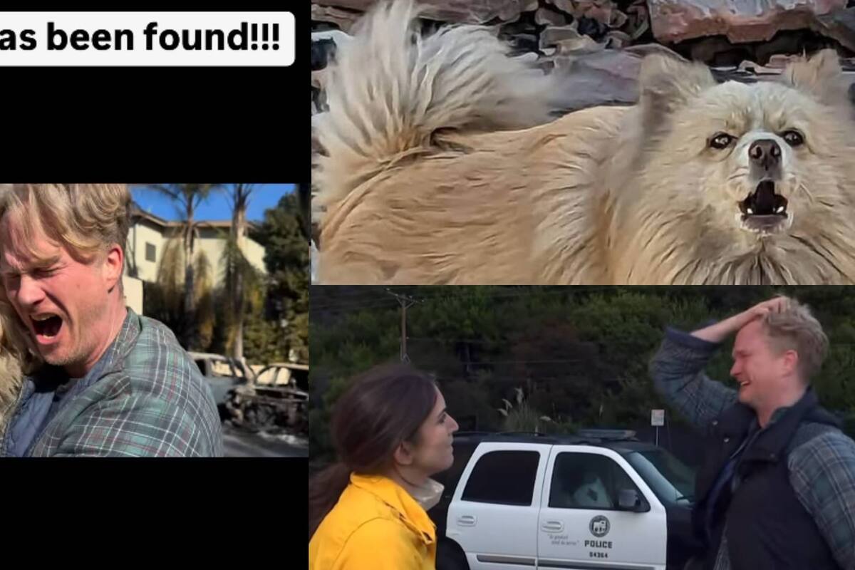 (VIDEO) Hombre pierde su casa por incendio en Los Ángeles y uno de sus perros desaparece; días después lo localiza y rompe en llanto