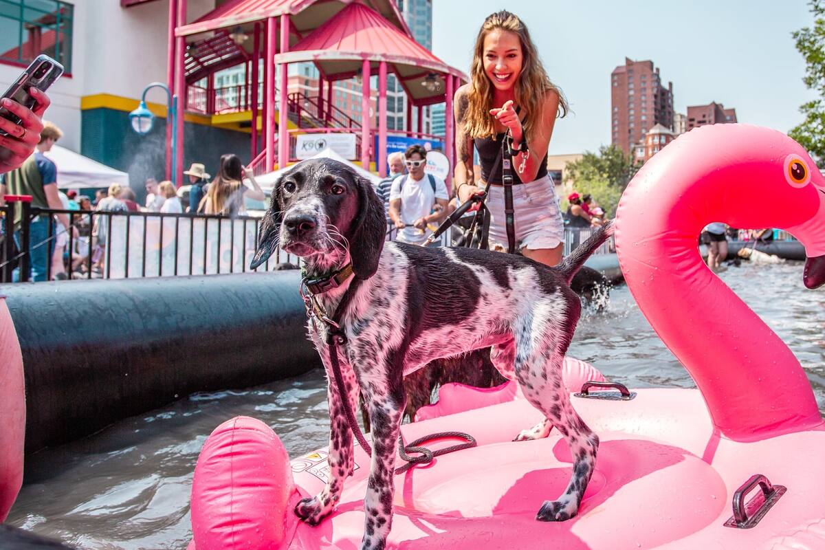 El Festival del Día del Perro llega a San Diego