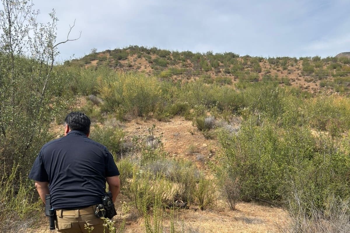 Colectivo localiza dos cuerpos en Valle de Guadalupe