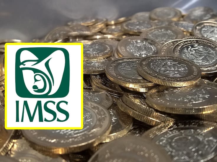 Dejar de trabajar en la formalidad, no te quita tu pensión: La modalidad 40 del IMSS puede ayudarte a recibir dinero en tu retiro