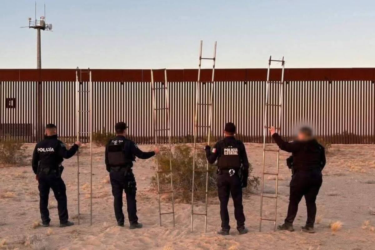 Aseguran 12 escaleras en muros de Nogales y San Luis Río Colorado