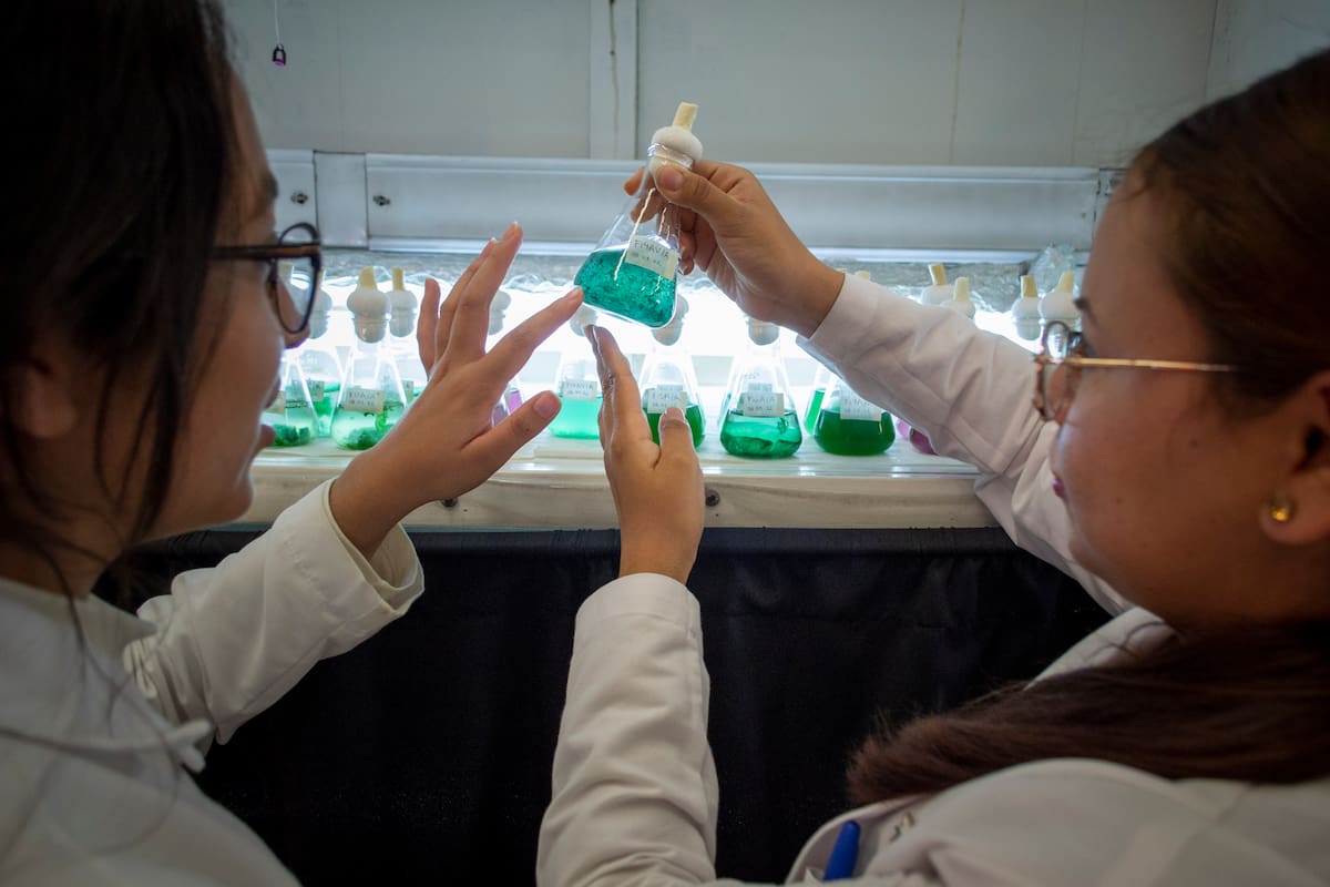 Cicese abre convocatoria para maestrías y doctorados