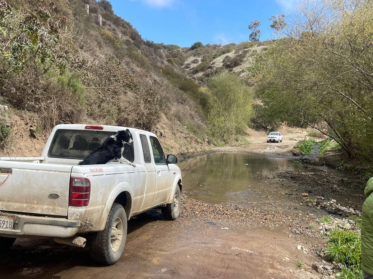 Personal de la Cespt tomarían muestras del agua para conocer el grado de contaminación.