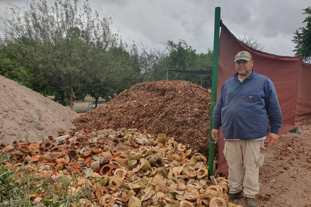 Convierte cáscaras de cocos en fertilizante orgánico