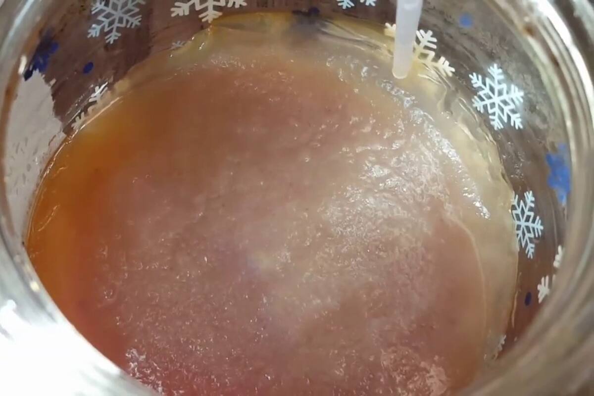 Vinagre madre de manzana: Conoce sus beneficios y cómo prepararlo