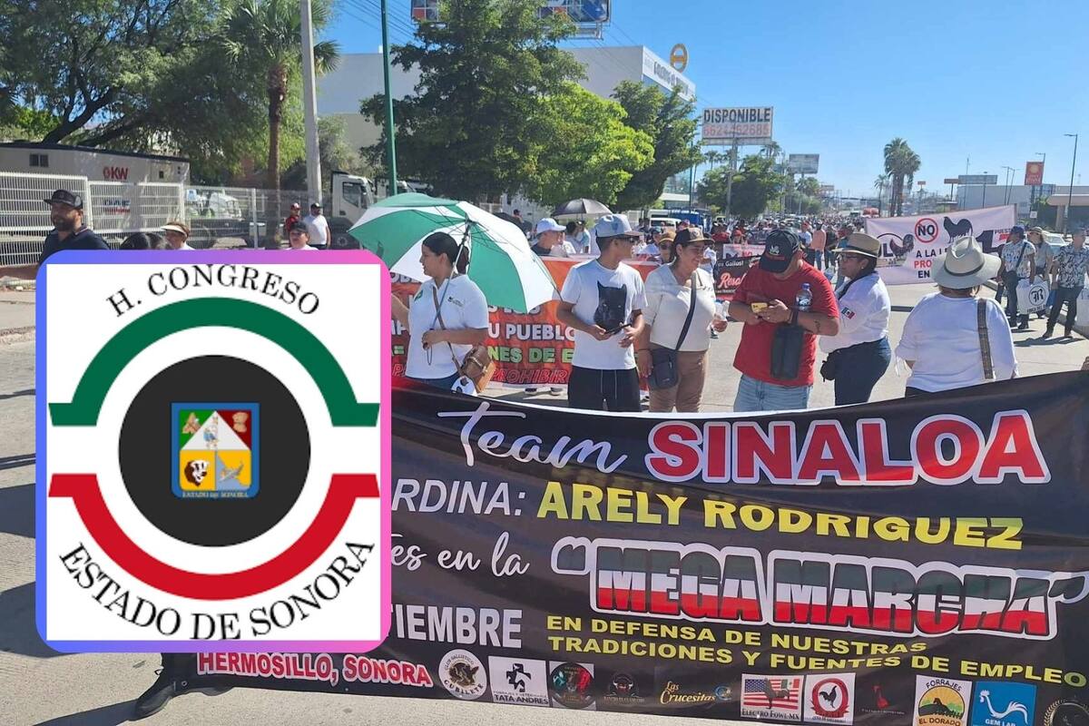 Galleros se preparan para manifestación pacífica rumbo al Congreso de Sonora