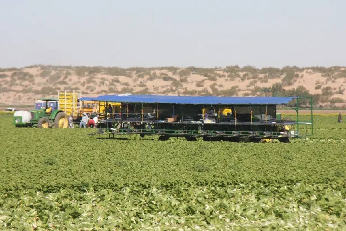 Agricultores a la espera de conocer proyectos de CONAGUA