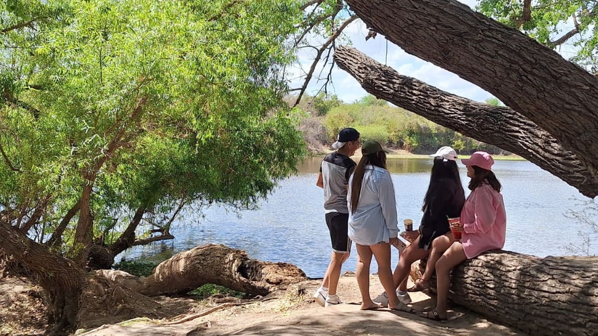 Disfrutan familias paseos campestres