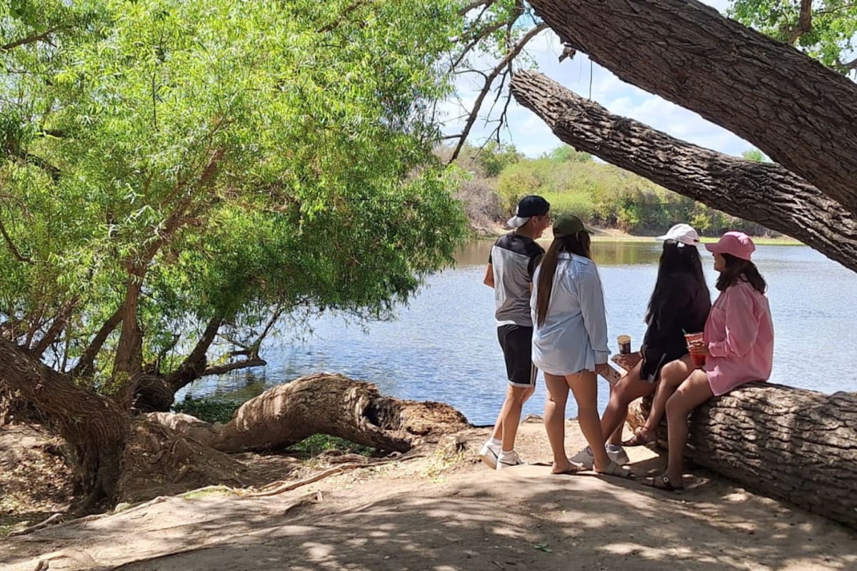 Disfrutan familias paseos campestres