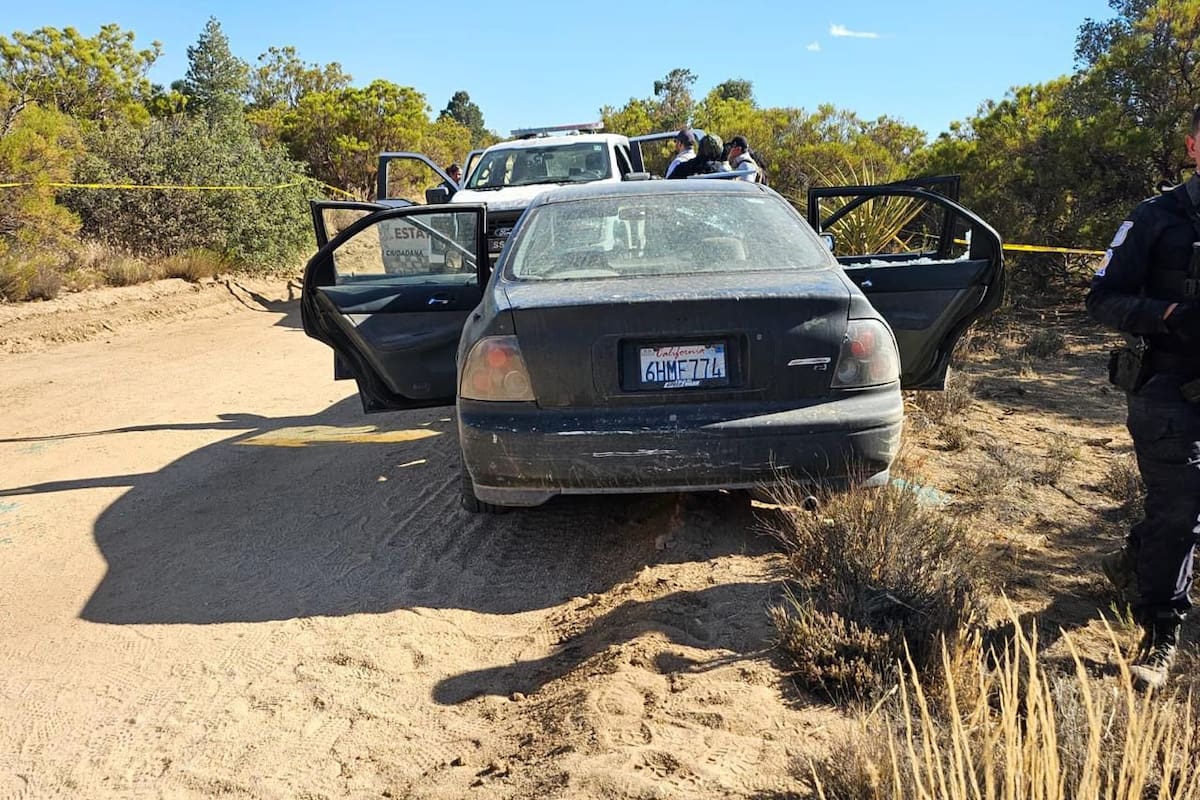 Detienen a presunto integrante de célula criminal tras enfrentamiento armado en Laguna Hanson; aseguran cuatro armas y equipo táctico