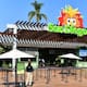 Nighttime Zoo 2026: el Zoológico de San Diego amplía su horario durante el verano