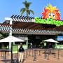 Nighttime Zoo 2026: el Zoológico de San Diego amplía su horario durante el verano