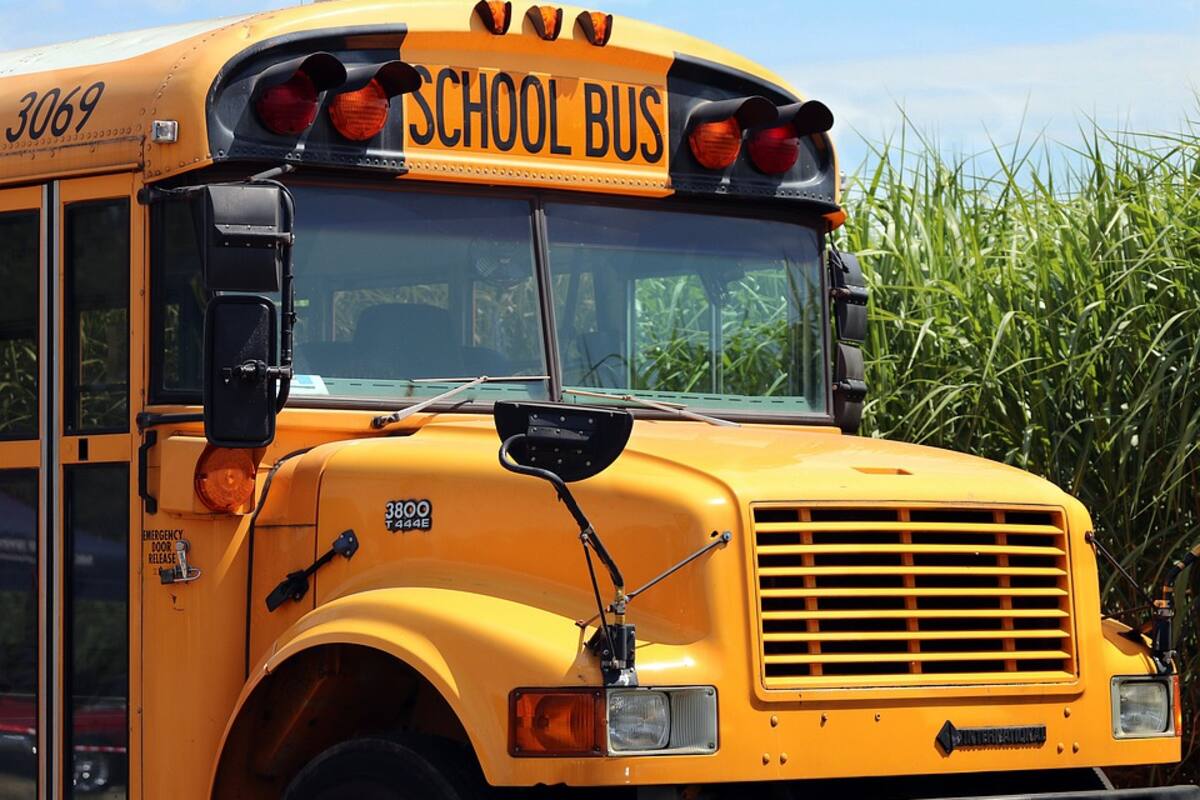 Conductor de camioncito escolar le pide una cita a niño; madre alerta a padres
