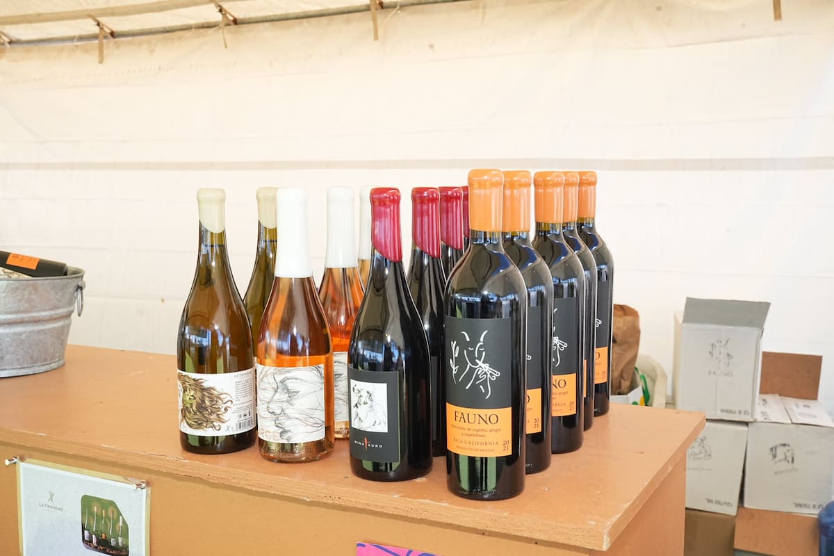 Una experiencia 100% sensorial