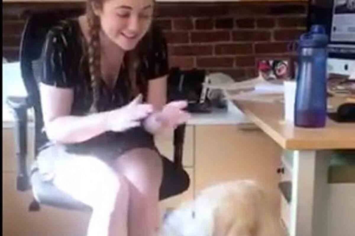 VIDEO: Chica le enseña lengua de señas a su perrita sorda