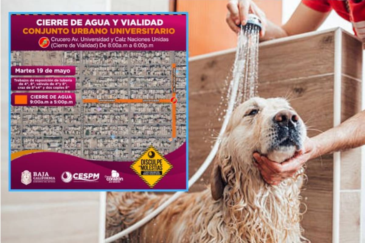 Este martes cortarán agua y cerrarán calle al poniente de Mexicali; lo que debes saber antes de salir