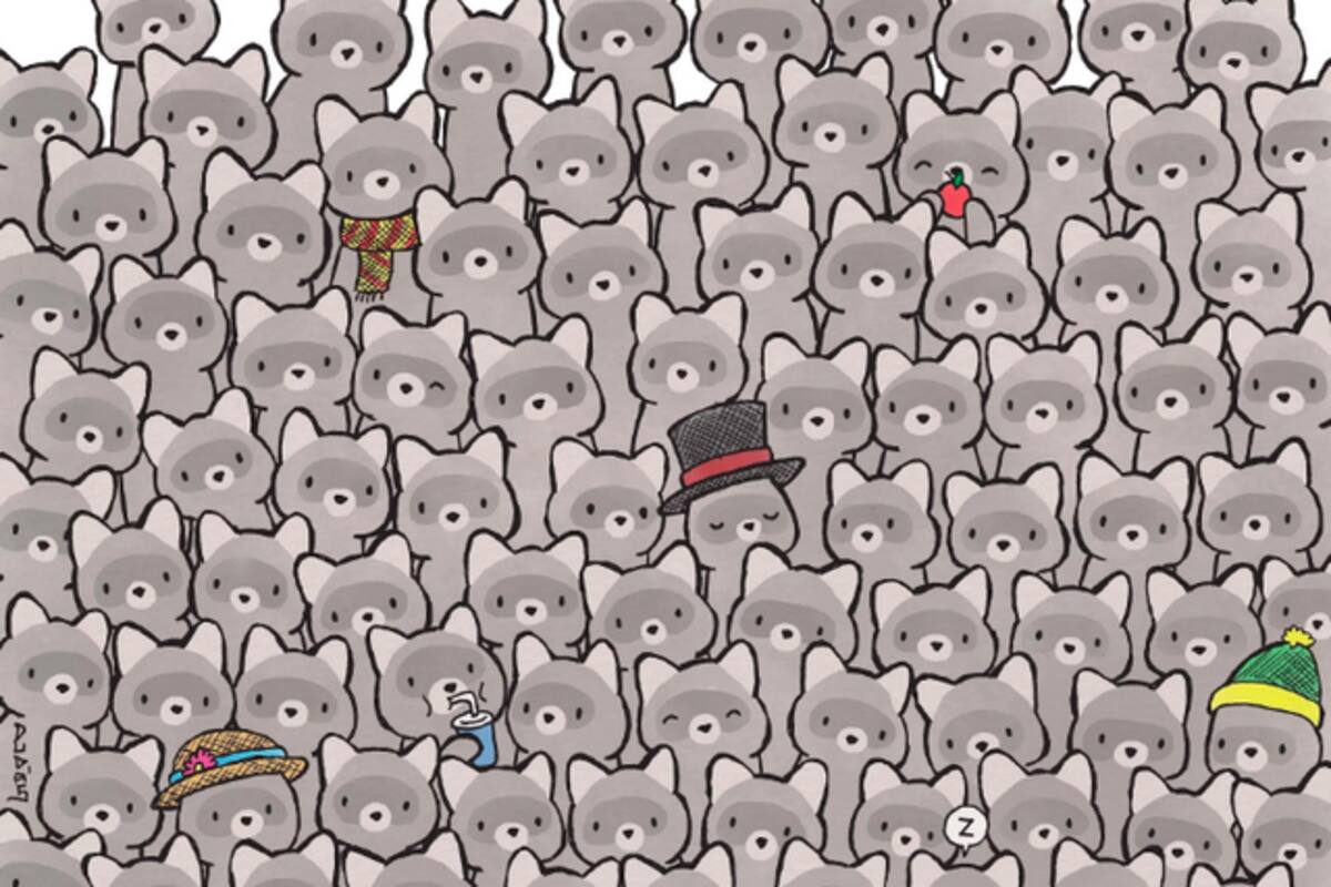 Reto visual: encuentra al gato escondido entre los mapaches