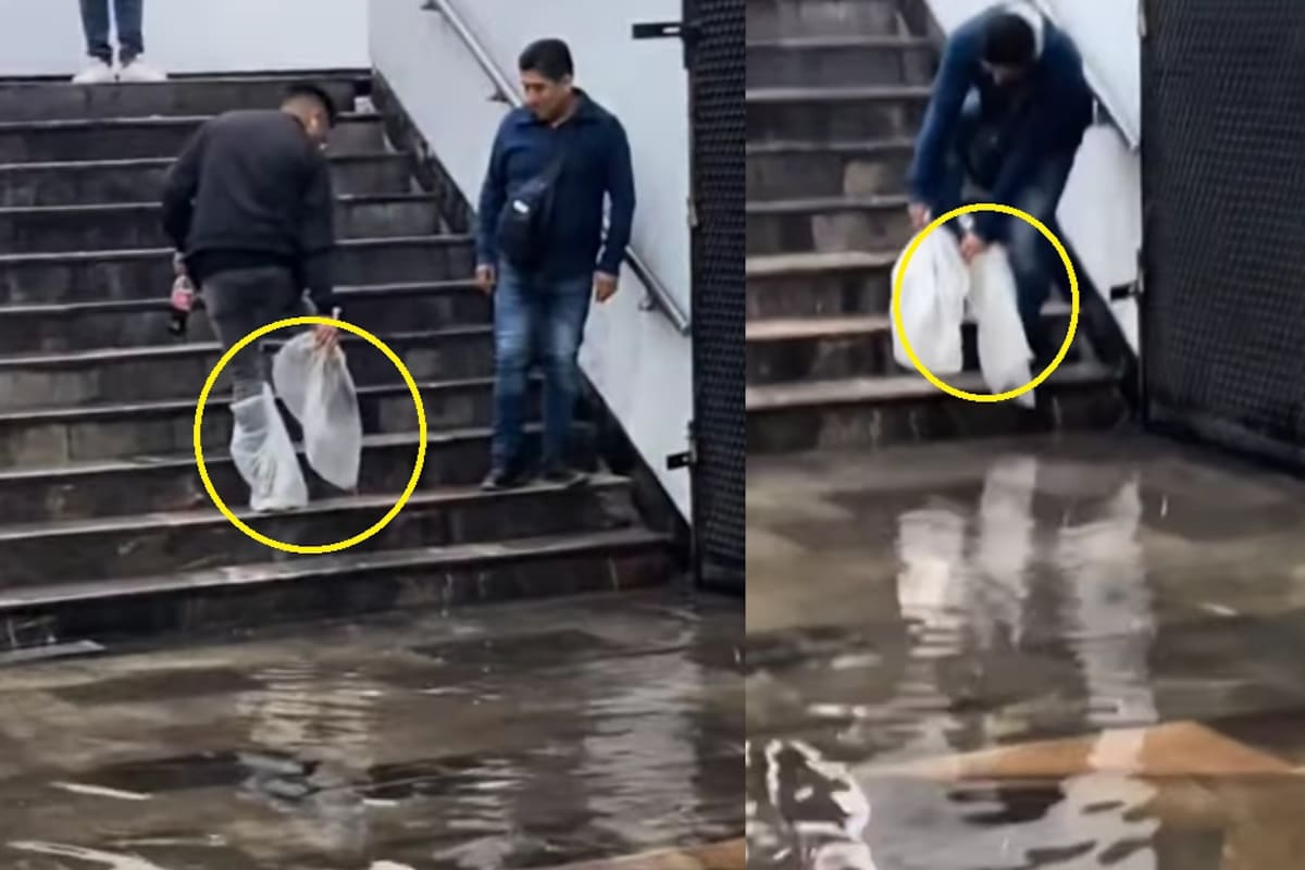 “El corazón mexicano siempre encuentra un puente”: Hombres causan conmoción por su ingenio para no mojarse los zapatos al cruzar el agua