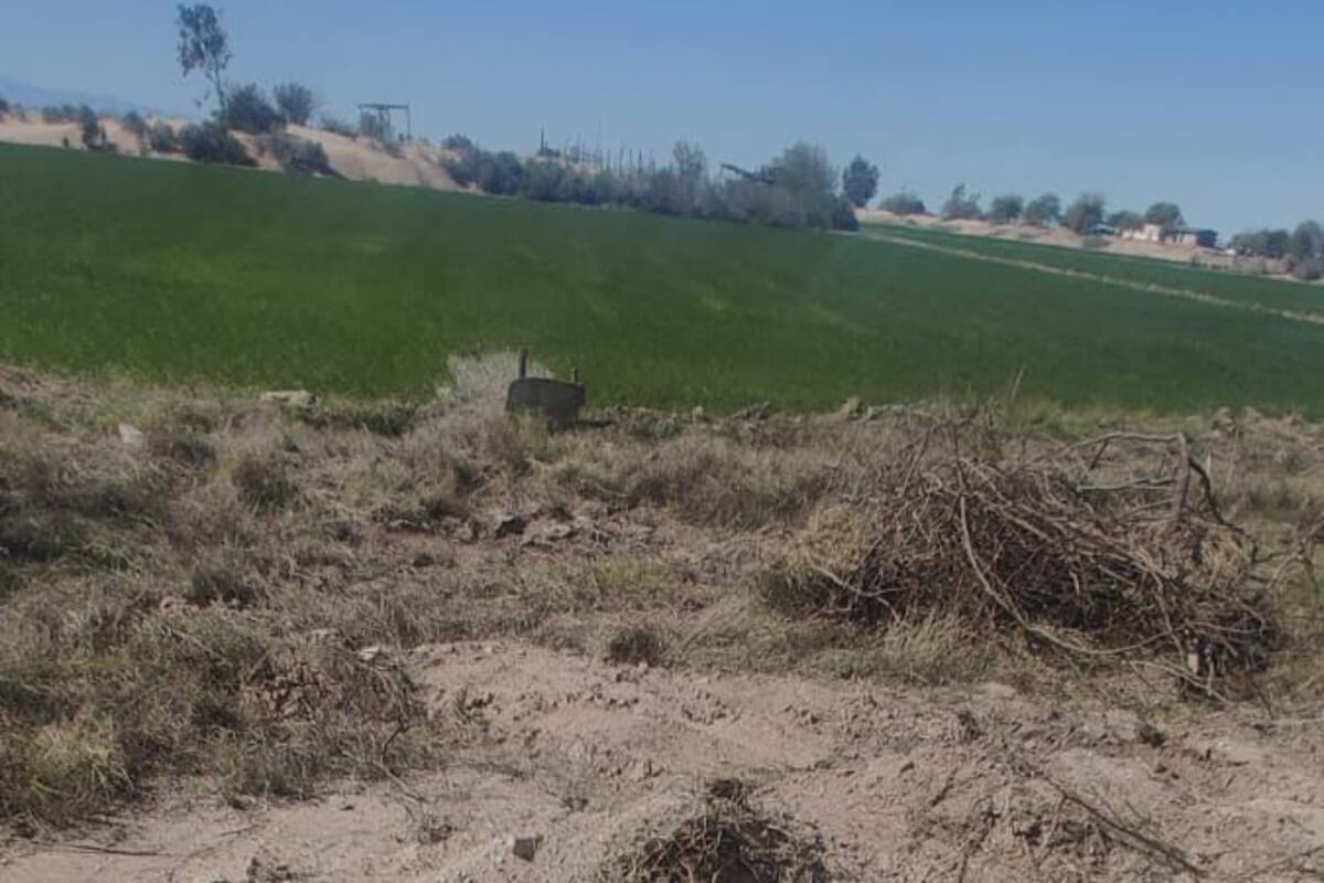 Mujer es asesinada en el ejido Yucatán