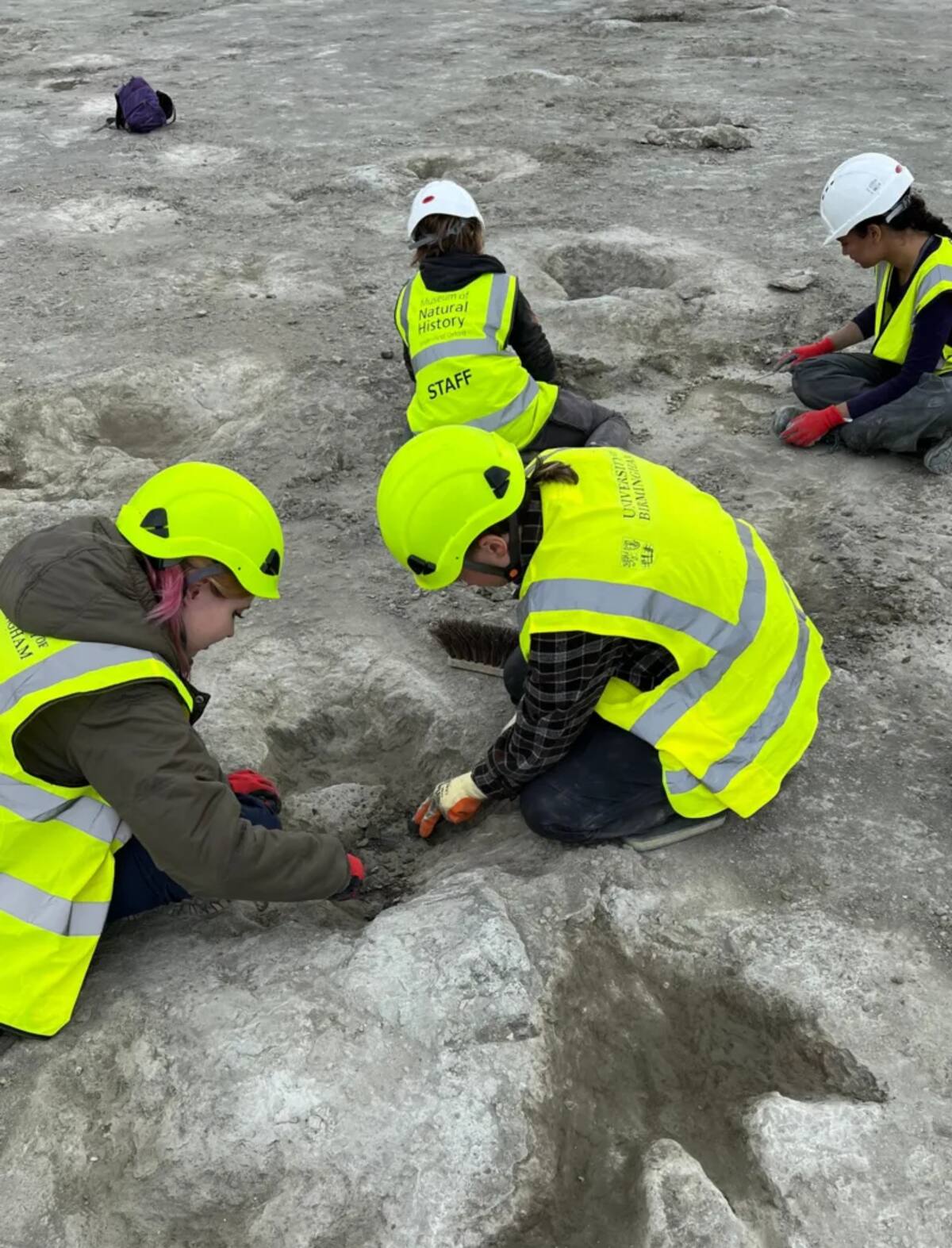 Investigadores y voluntarios observan de cerca las huellas de dinosaurio en la cantera Dewars Farm, mientras examinan el detalle y la conservación de los fósiles. / BBC.