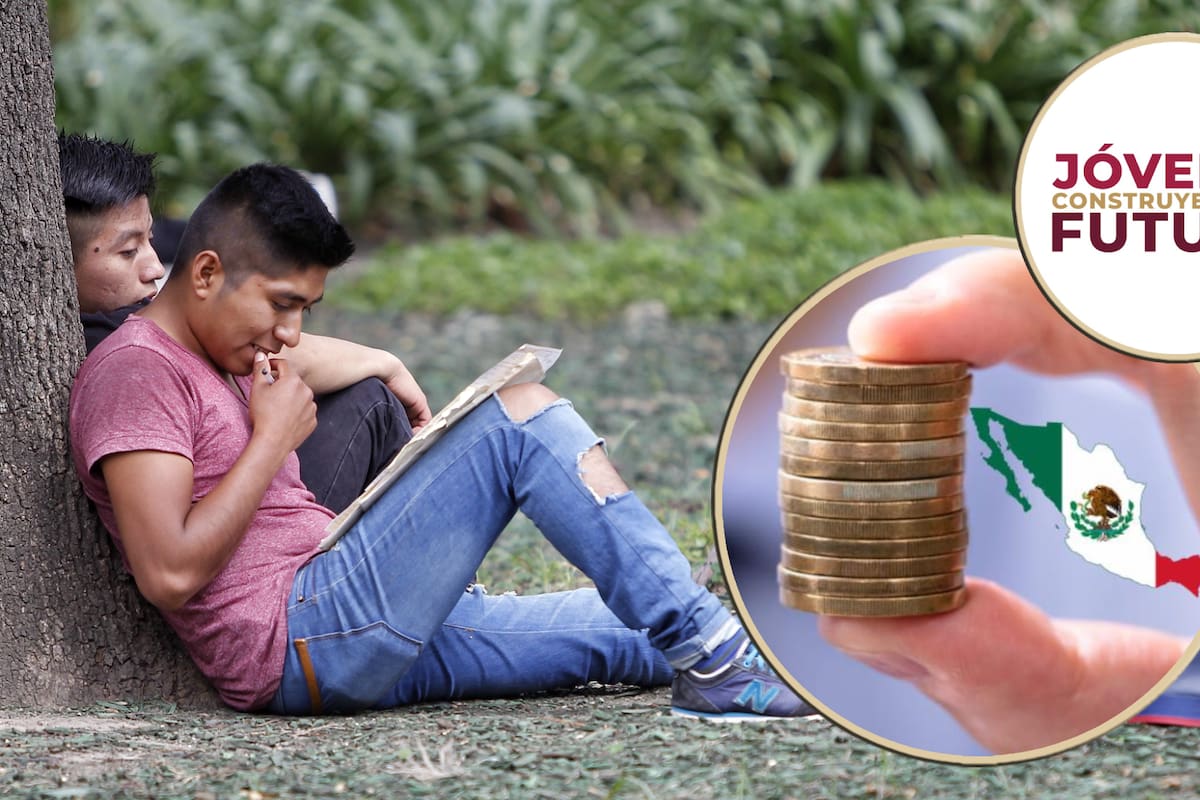 El sueldo mensual para ‘ninis’ que quieren aprobar en la Cámara de Diputados; así puedes inscribirte para recibirlo